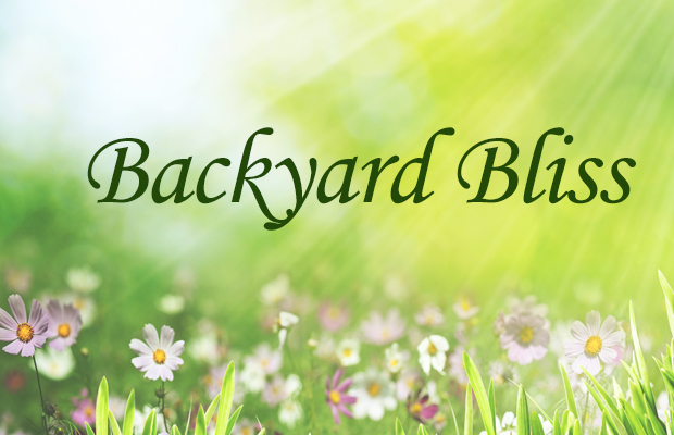 Backyard Bliss Rules