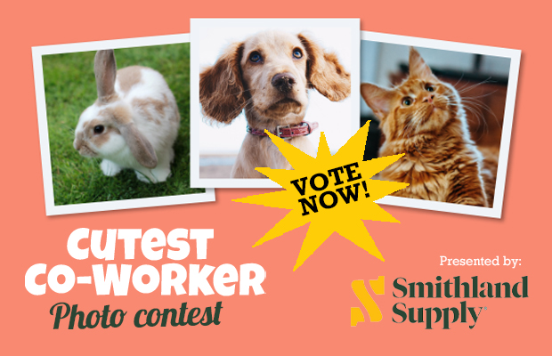 Time to vote for the Cutest (Pet) Coworkers!
